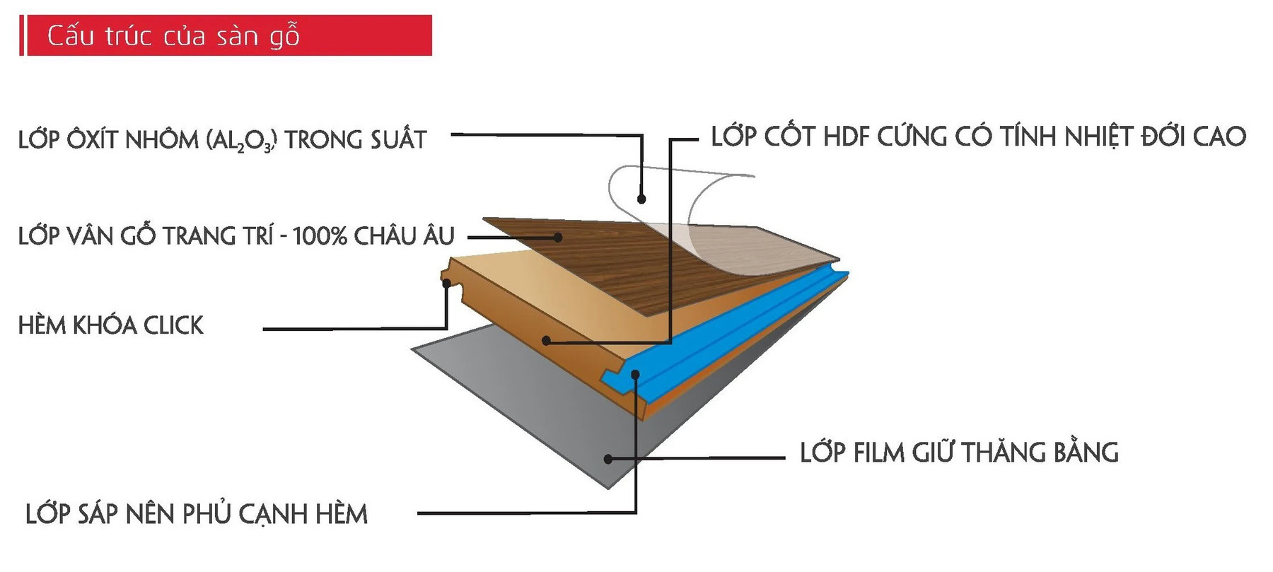 Sàn gỗ Morser tiêu chuẩn Châu Âu – Made in VietNam 4 San-go-morser (3)