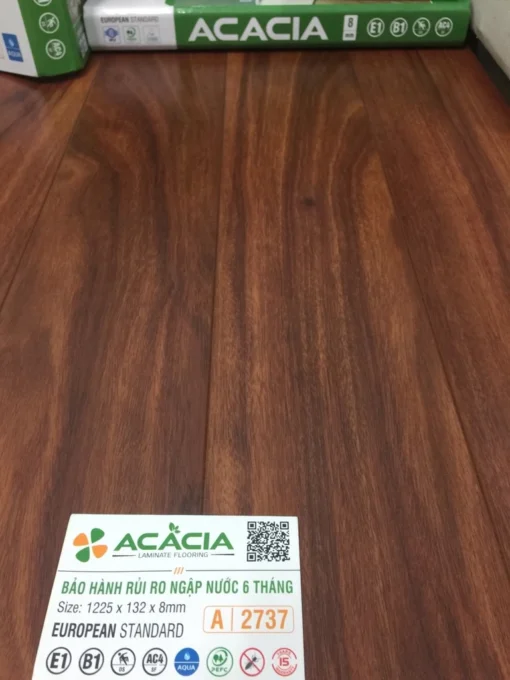 San-go-acacia-a2737.webp