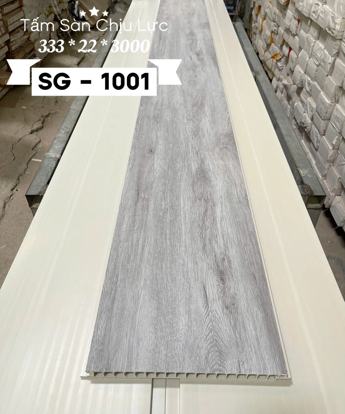 Sgs101.webp
