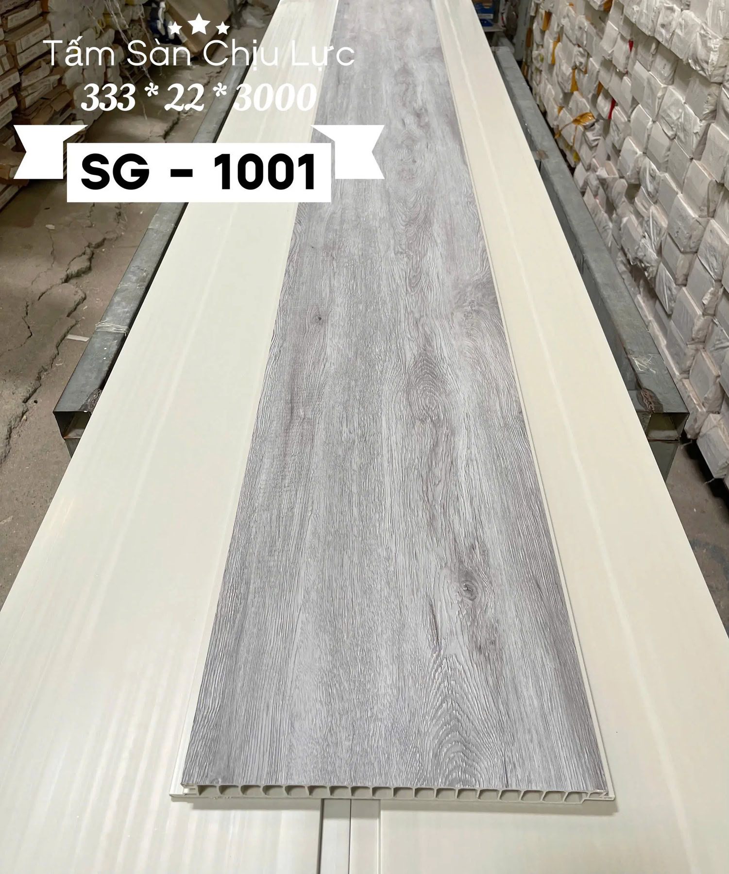 Sgs101.jpg