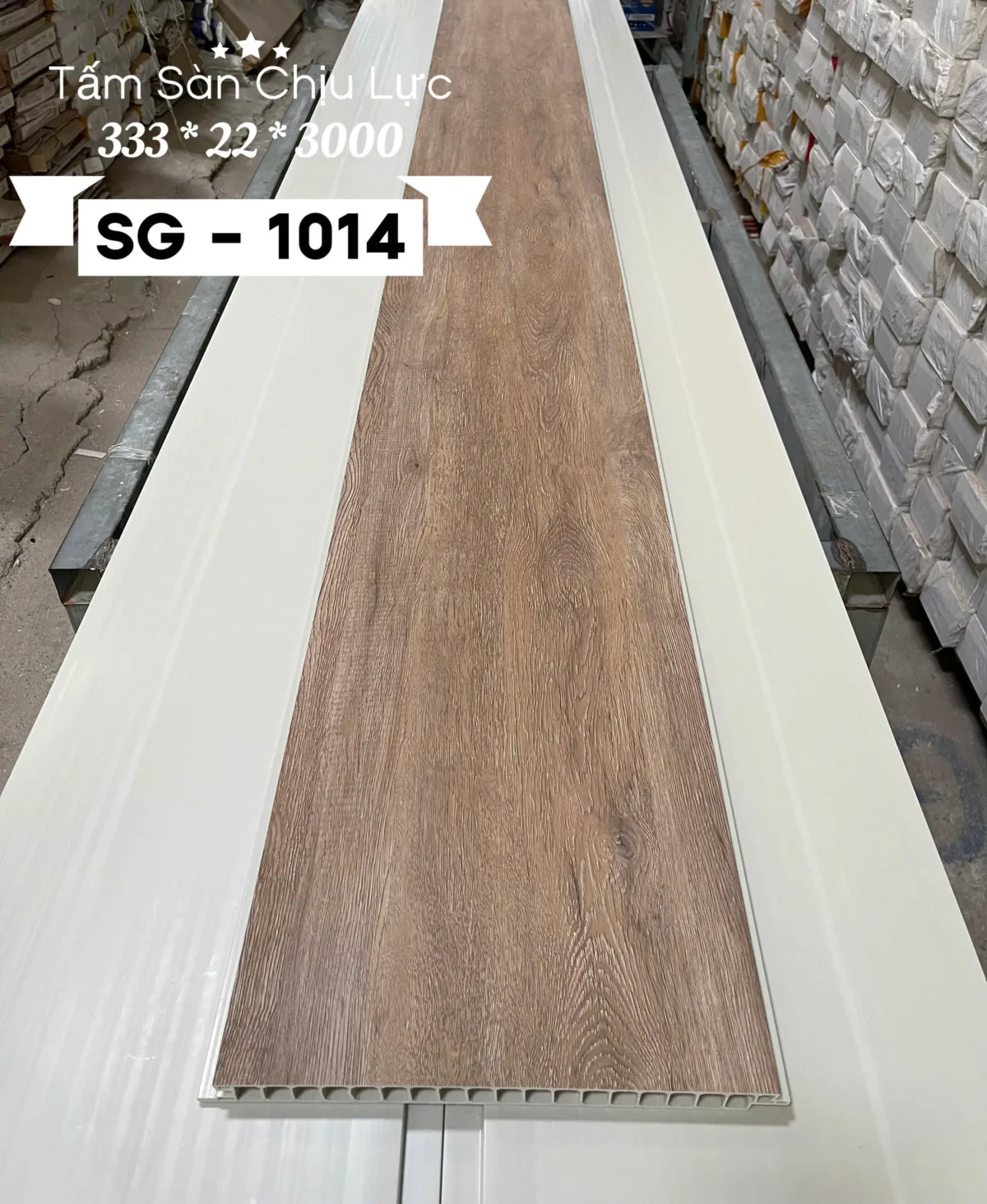 Sgs1014.webp