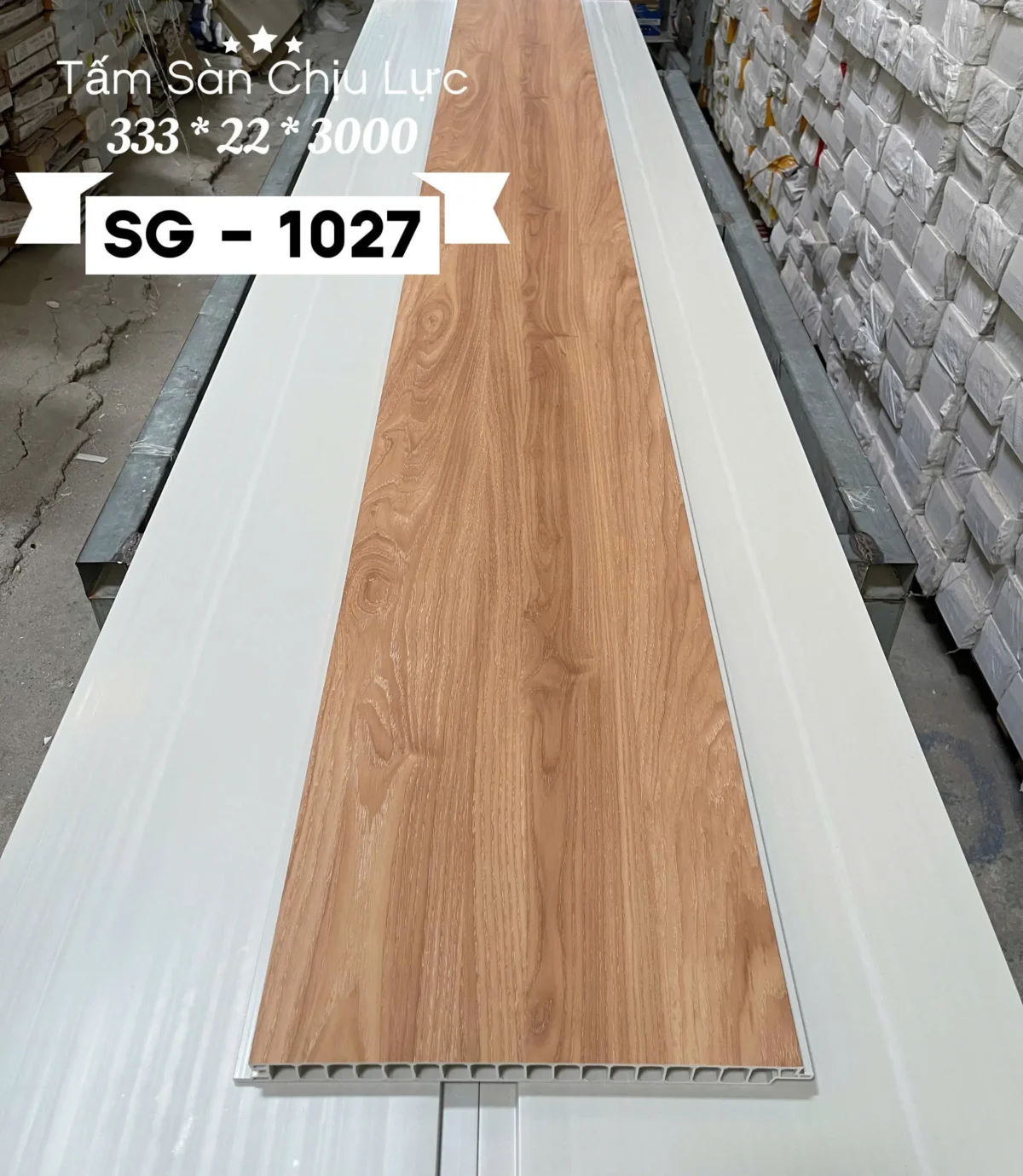 Sgs1027.webp