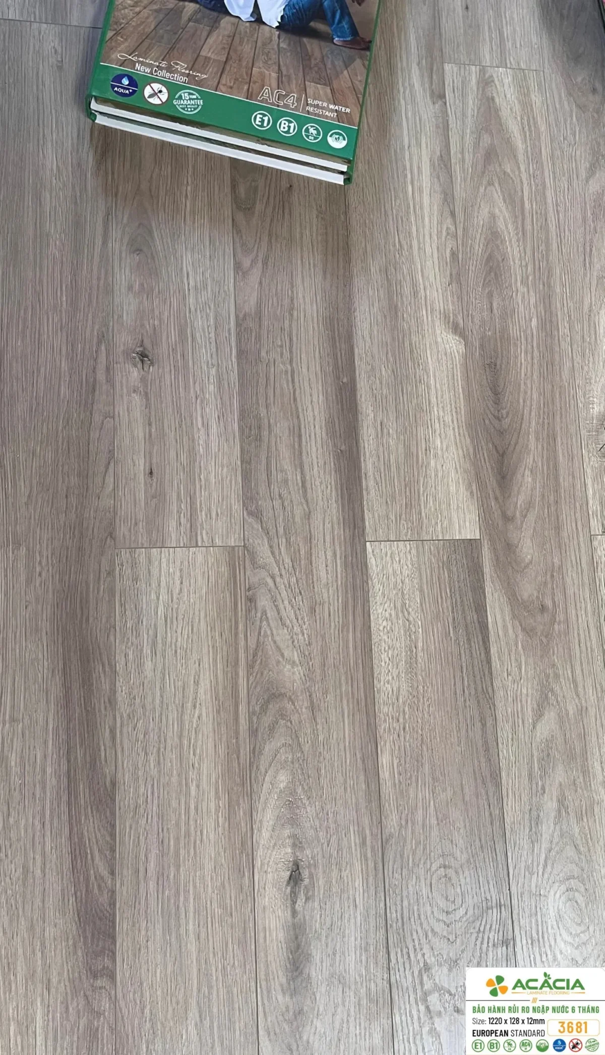 San-go-acacia-3681-1-scaled-1.webp