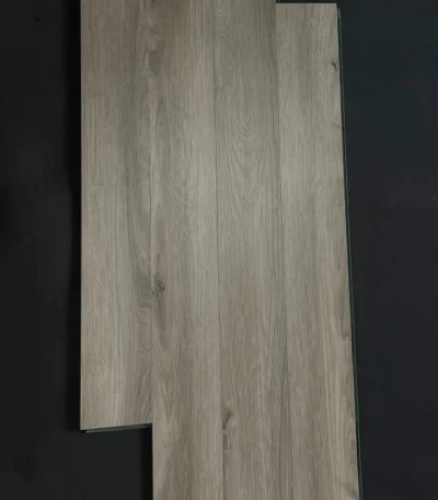 San-go-acacia-3681.jpg