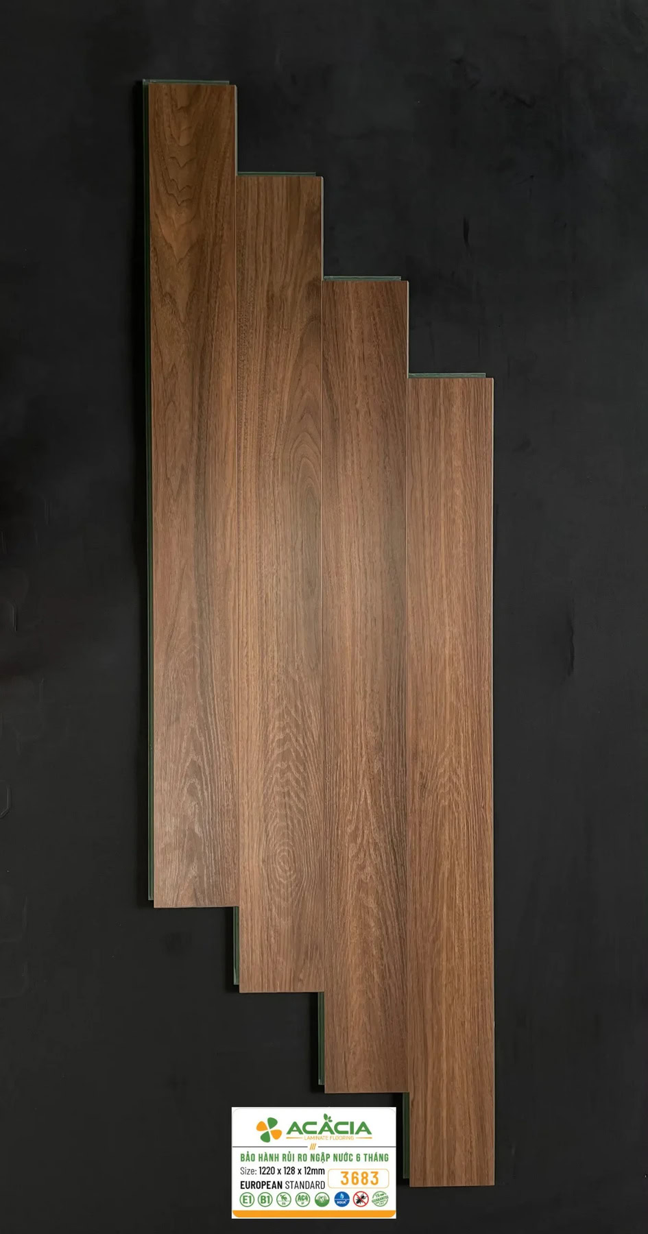 San-go-acacia-3683-scaled-1.jpg
