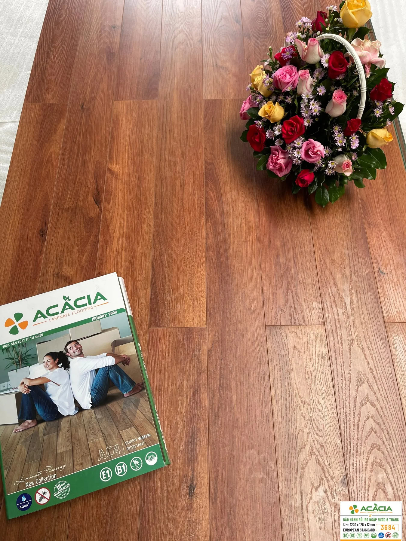 San-go-acacia-3684-1.jpg
