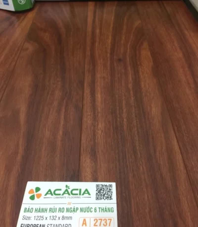 San-go-acacia-a2737.jpg