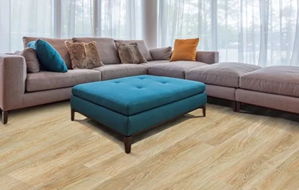 San-nhua-hem-khoa-aimaru-4220.jpg San-nhua-hem-khoa-aimaru-4220.jpg