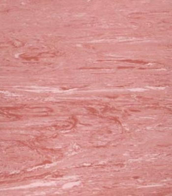 San-nhua-khang-khuan-polyflor-sedona-pink-3860.jpg