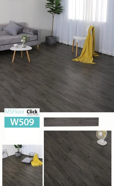 San-nhua-msfloor-w509.jpg