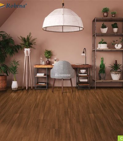 Sàn Gỗ Robina 8mm Bản Lớn Ce21 Tt