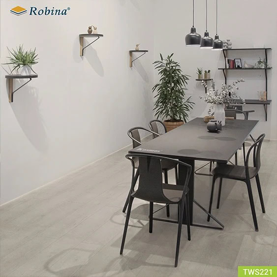 Sàn Gỗ Robina 8mm Bản Lớn Tws221 Tt