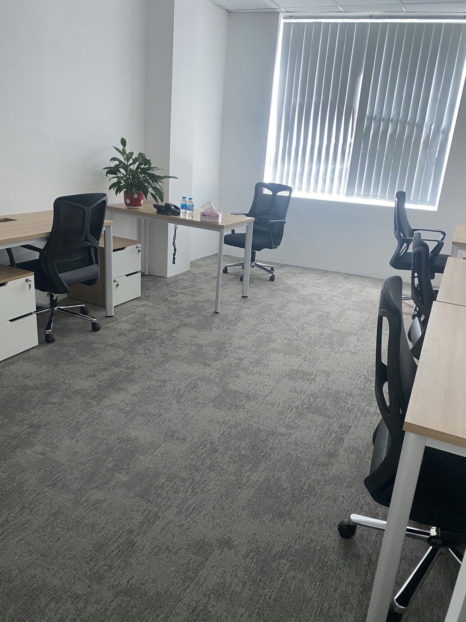 Thảm Tấm Pattern Bc901 H2